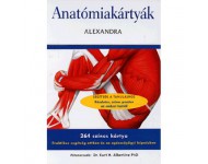 dr. Albertitne H. Kurt: Anatómiakártyák - 264 színes kártya - Praktikus segítség otthon és az egészségügyi képzésben