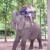 Utazás egy elefánt hátán