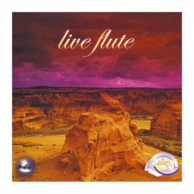 Alap - Live flute