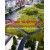 Európai tájépítészet / European Landscape Architecture - Válogatott projektek 2000-2005 / Squares, parks and promenades: recent projects