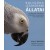 Sally Boysen, Deborah Custance: Bolygónk legokosabb állatai - Különleges történetek a természet legszebb teremtményeiről