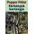 Popper Péter: Sárkányok barlangja - Könyv egy nem létező ember gondolatairól az abszurd világban - vagyis rólad és rólam