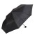Perletti esernyő 6-509*14