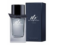 Burberry Mr. Burberry Indigo EDT 100ml